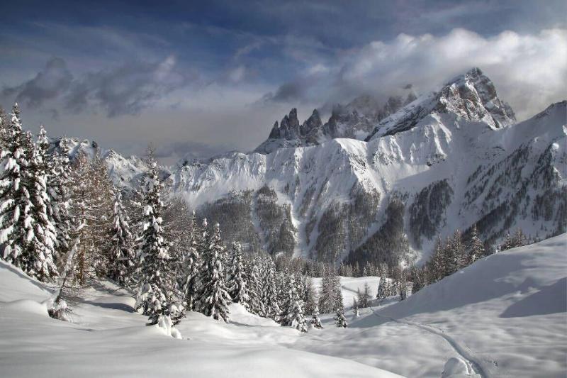 Hotel Stella Alpina Falcade Exterior foto