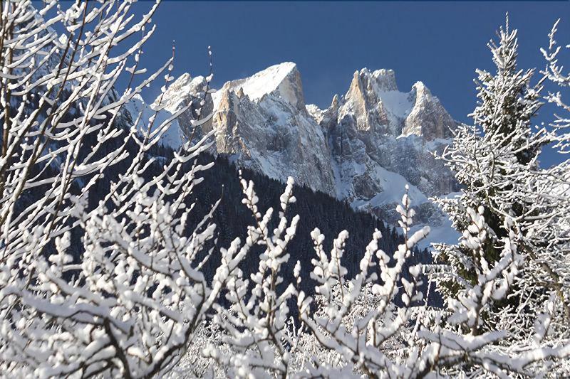 Hotel Stella Alpina Falcade Exterior foto