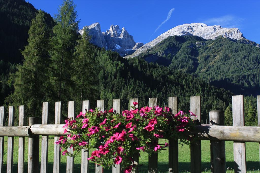 Hotel Stella Alpina Falcade Exterior foto