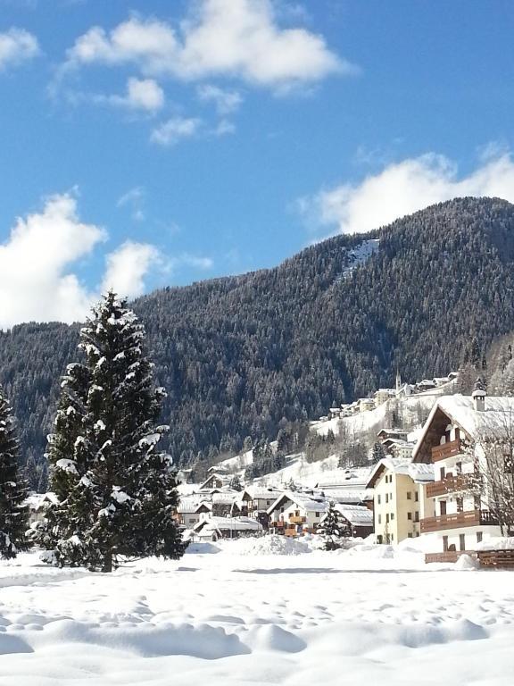 Hotel Stella Alpina Falcade Exterior foto